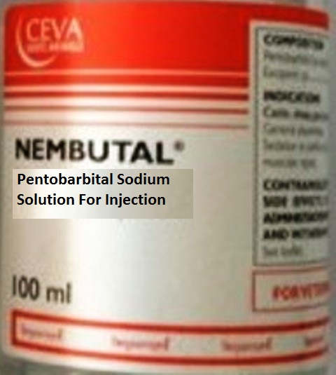 Barbiturat Natrium Pentobarbital kaufen - Nembutal kaufen in sonst ...