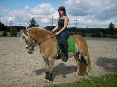 Sie sucht ihn 59368