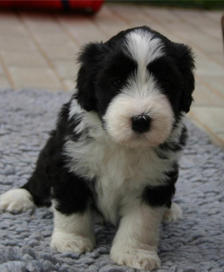 Sie sucht ihn 98646