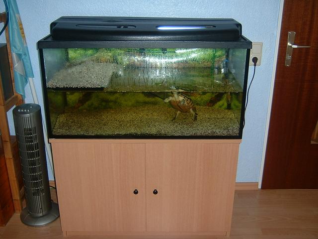 JISADER Schildkröten-Aquarium Mit Sonnenplatz - Perfektes Zuhause Für Deine Reptilien